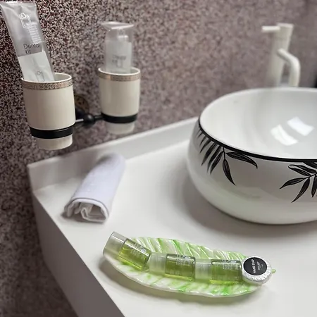 酒店 Jmr Splendor - Private Sauna & Bathtub 康斯坦察