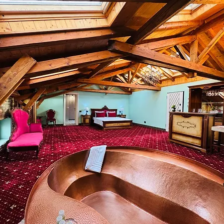 Jmr Splendor - Private Sauna & Bathtub 酒店 康斯坦察